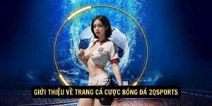 Cach thuc choi ca do bong da truc Gioi thieu ve trang ca cuoc bong da 2qsportsmot cach an toan tai trang ca do bong da uy tin nhat Viet Nam