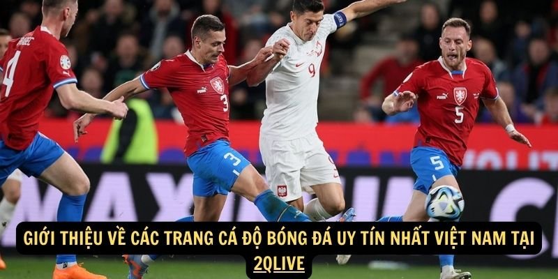 Giới thiệu về các trang cá độ bóng đá uy tín nhất Việt Nam tại 2qlive