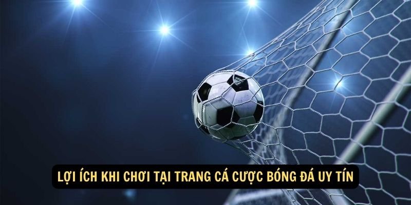 Lợi ích khi chơi tại trang cá cược bóng đá uy tín