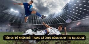 Tieu chi de nhan biet trang ca cuoc bong da uy tin tai 2qlive